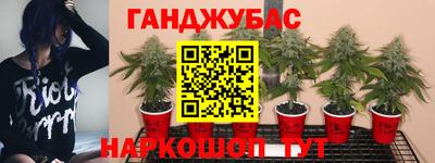 прущая мука Ирбит