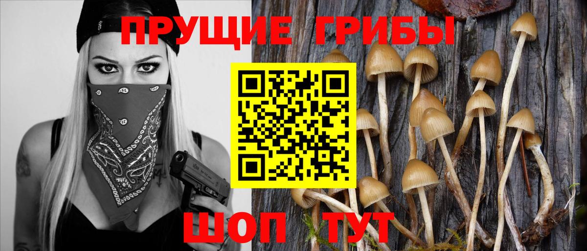 Галлюциногенные грибы Magic Shrooms  Псилоцибиновые грибы Psilocybe  Кисловодск  Вход с VPN 