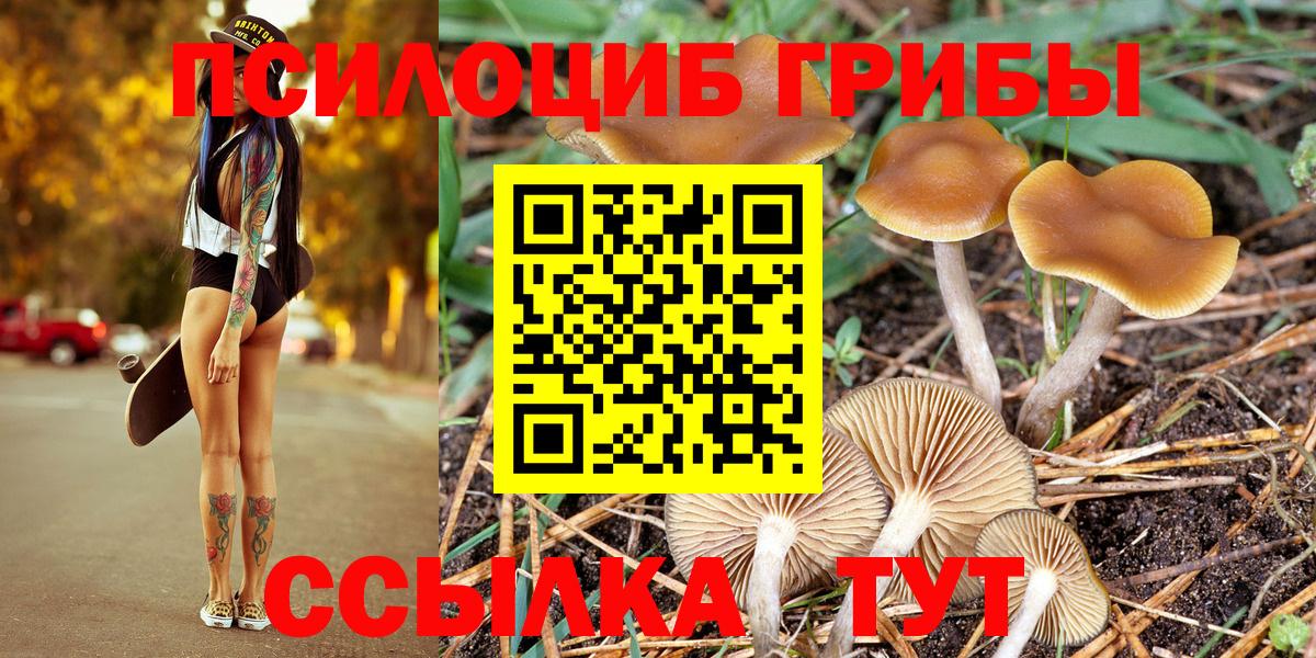 Галлюциногенные грибы MAGIC MUSHROOMS Кисловодск